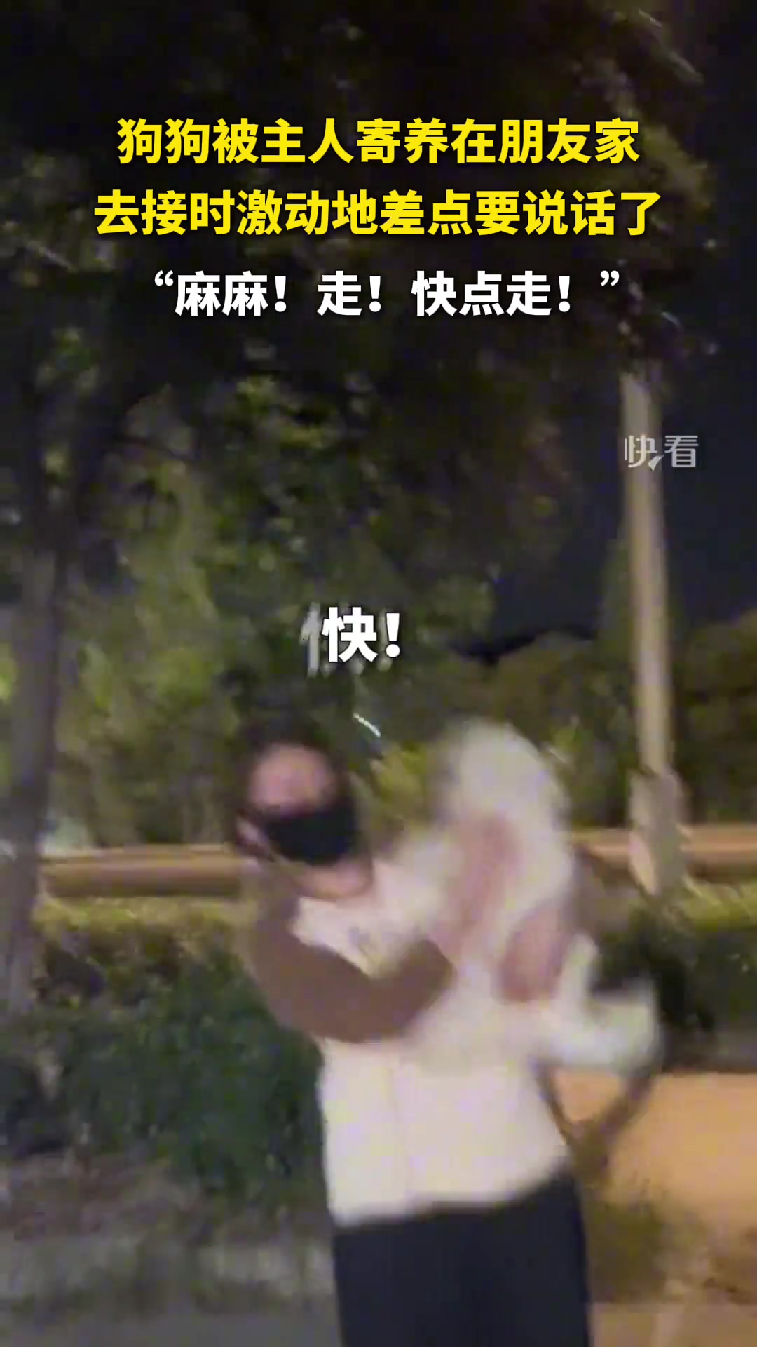 萌狗被寄养在朋友家几日，见到主人激动地差点说话了