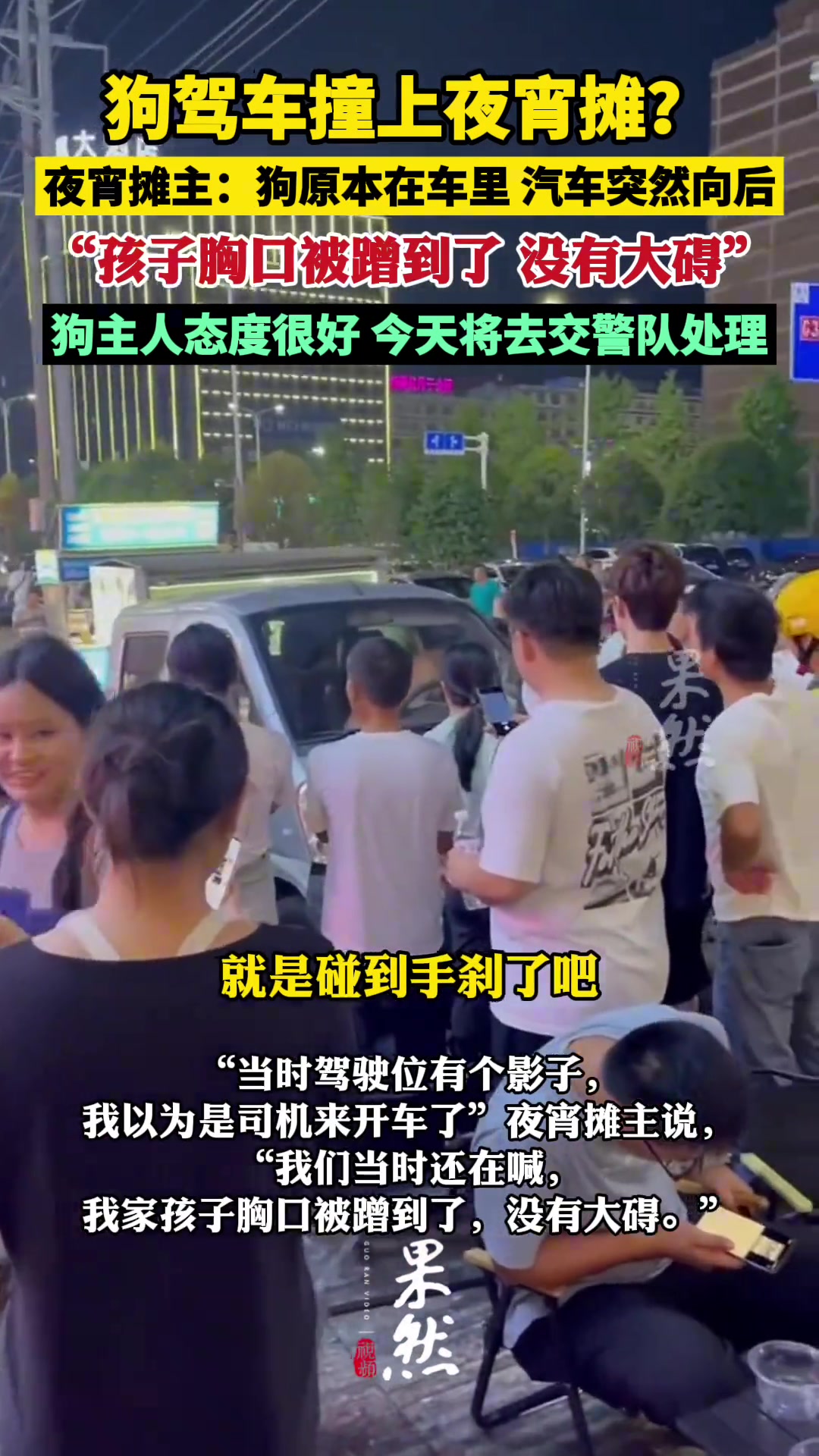 狗驾车撞上夜宵摊摊主：狗原本在车里汽车突然向后