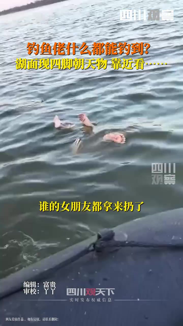 钓鱼佬除了鱼什么都能钓到湖面现四脚朝天物靠近一看