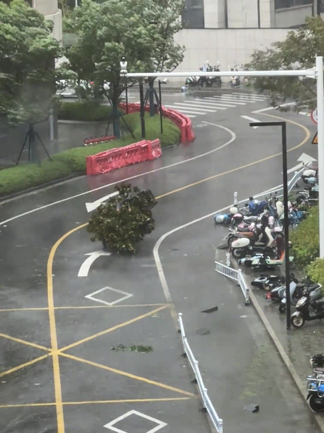 哟，还知道拐弯