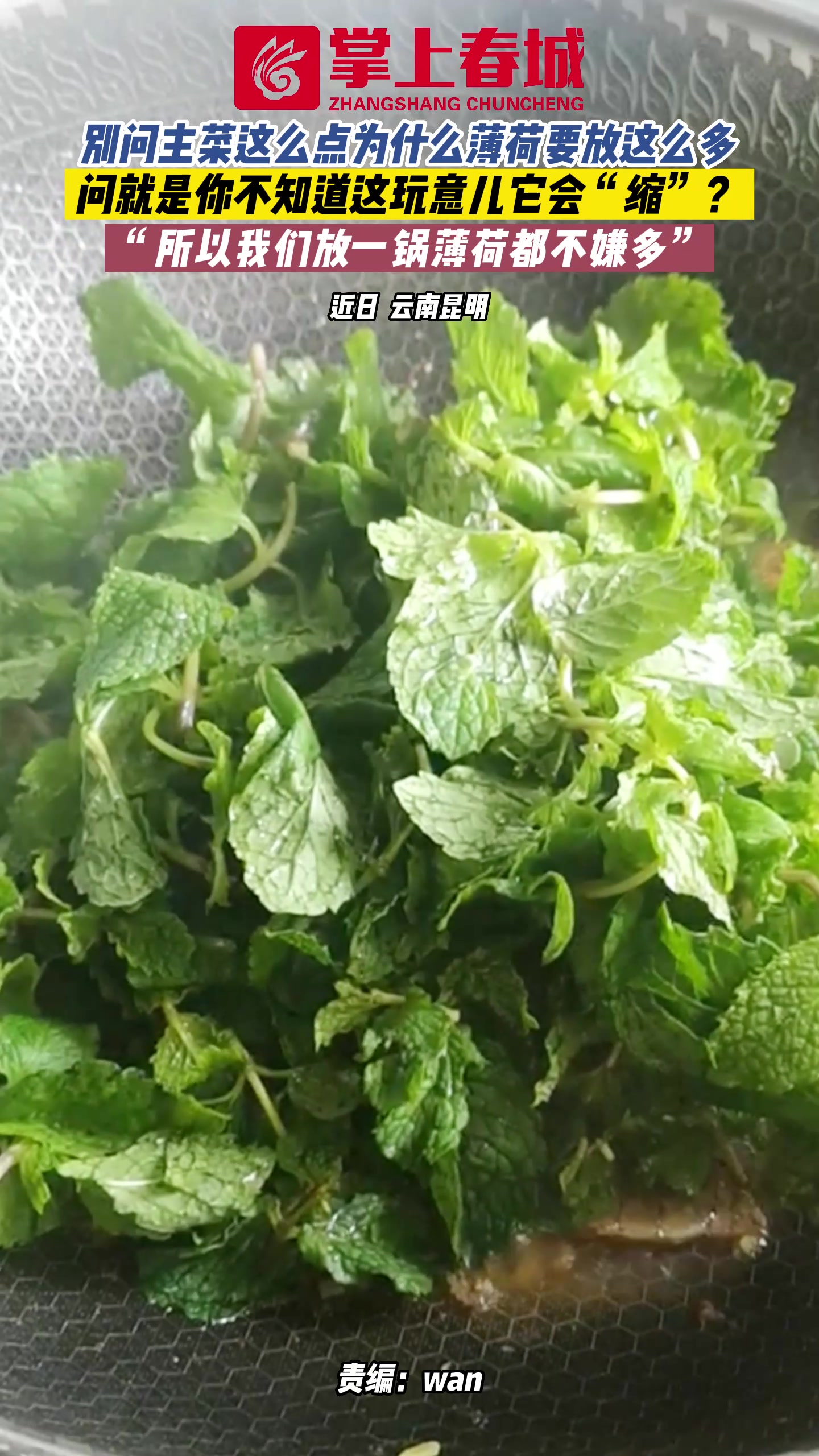 薄荷牛肉，吃过都说香