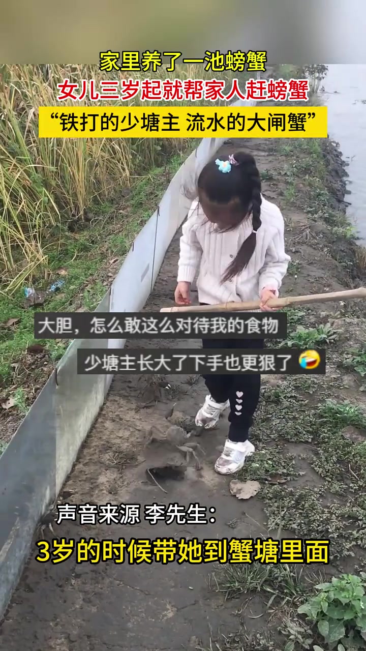 家里养了一池螃蟹，女儿三岁起就帮家人赶螃蟹