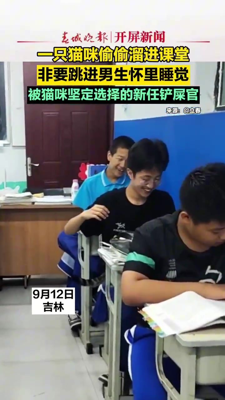 猫咪溜进教室里，直接跳进男生怀里睡觉