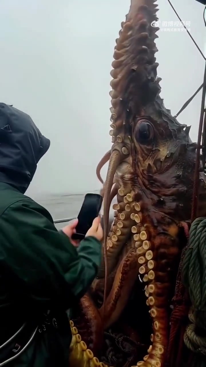现在的AI技术也太发达了！以后都分不清是不是特效了！！