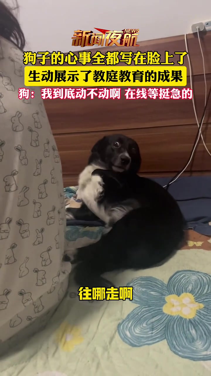 狗子那点小心思都写在脸上了