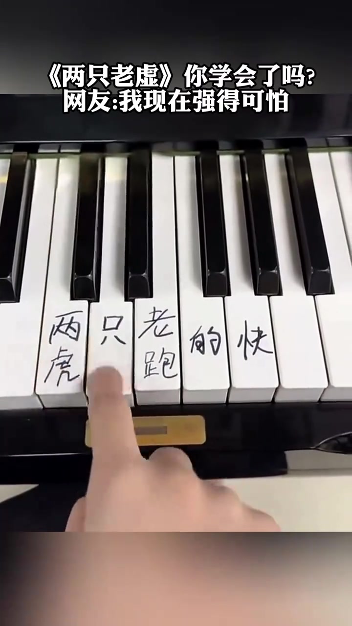 我已经会弹钢琴了！《两只老虚》你们学会了吗