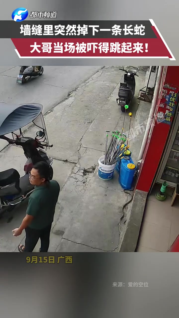 墙缝里突然掉下一条长蛇，大哥差点“起飞”！