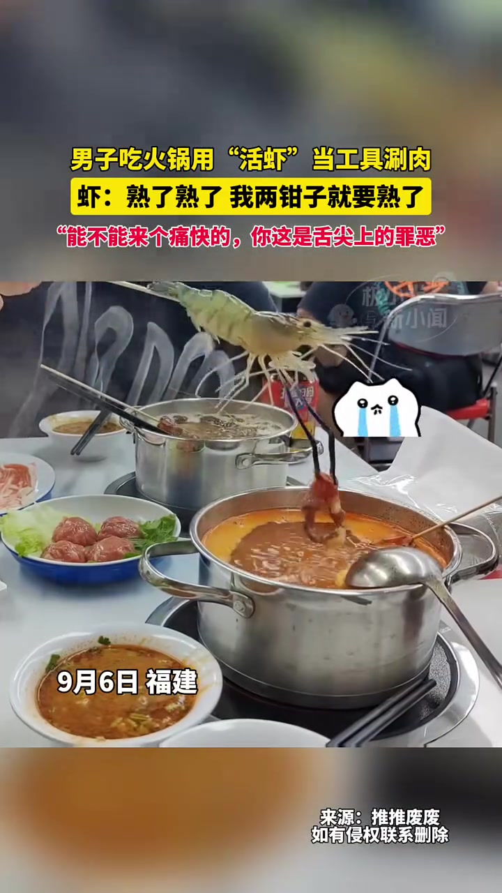 虾：我要告到联合国，告你虐待动物！