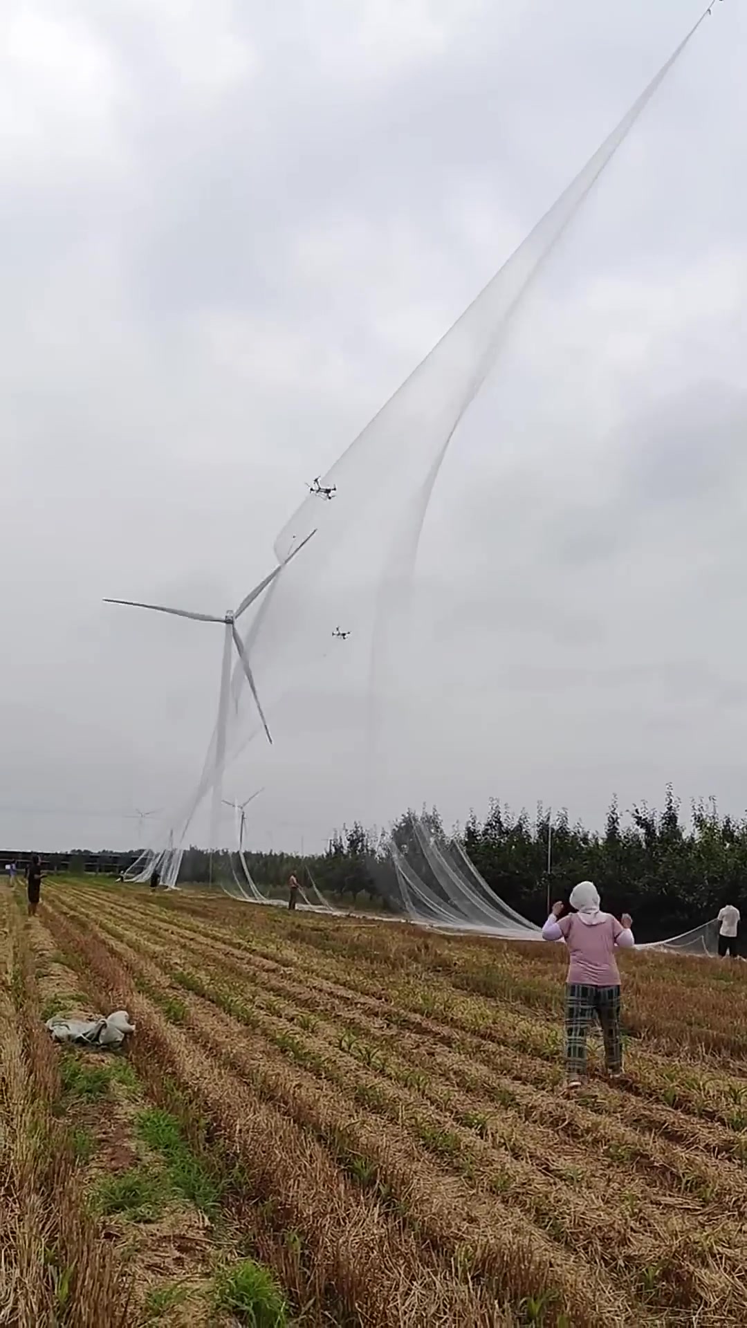 无人机架网，这角度我还以为挂风力发电了呢！