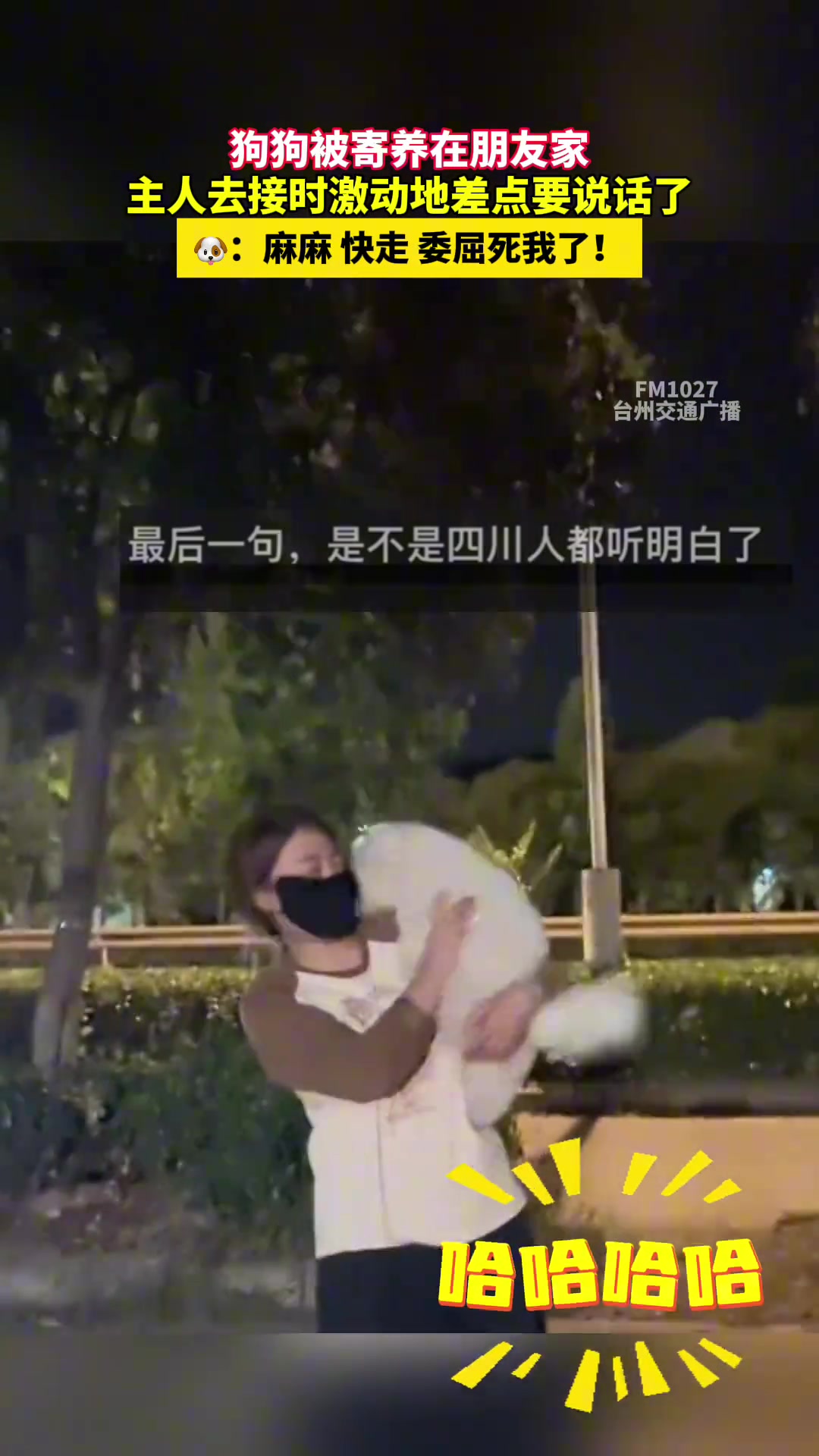 狗狗被寄养在朋友家，主人去接时激动地差点要说话了