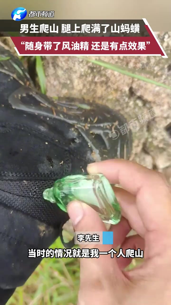 男子独自爬山，腿上爬满山蚂蝗