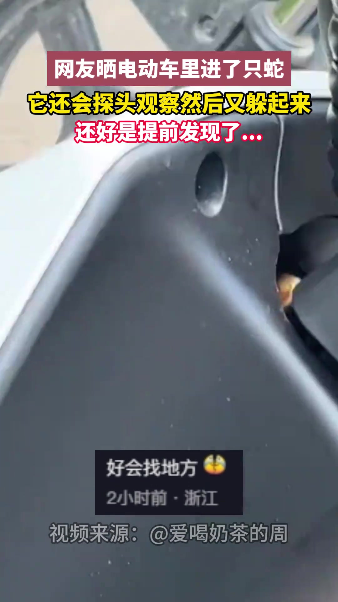 网友晒电动车里进了只蛇，它还会探头观察然后又躲起来