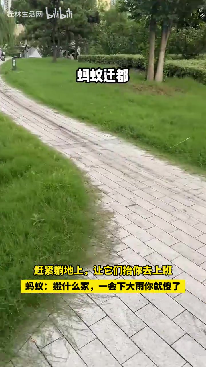 这不是搬家，这是直接迁都了吧！！