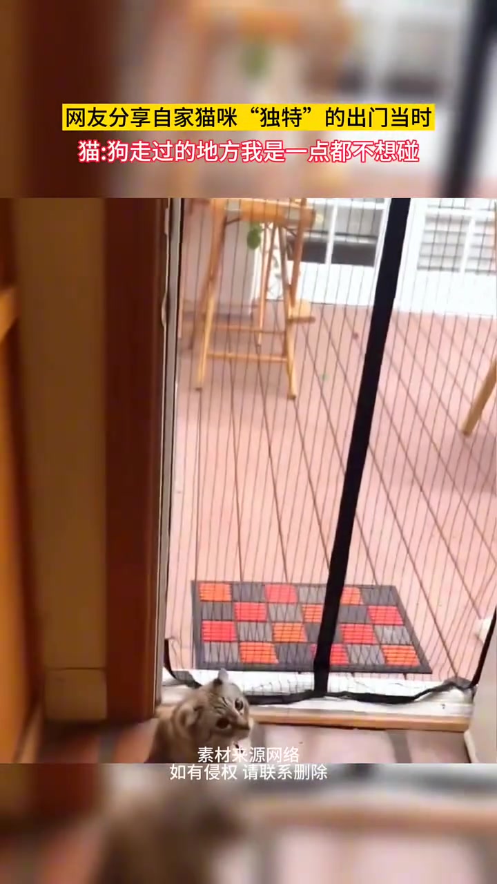 狗：你不是洁癖就是有猫病