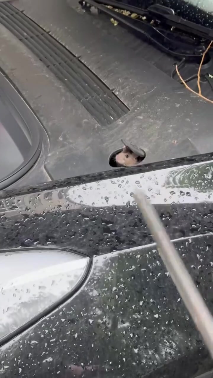 这是怎么个事