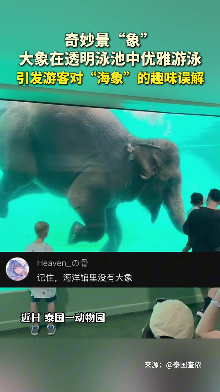 奇妙景“象”，大象在透明泳池中优雅游泳！！！