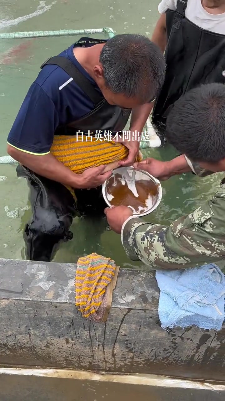 专业操作，不懂就问，这是在干嘛
