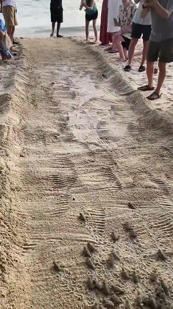 这下真的向大海走去了！！