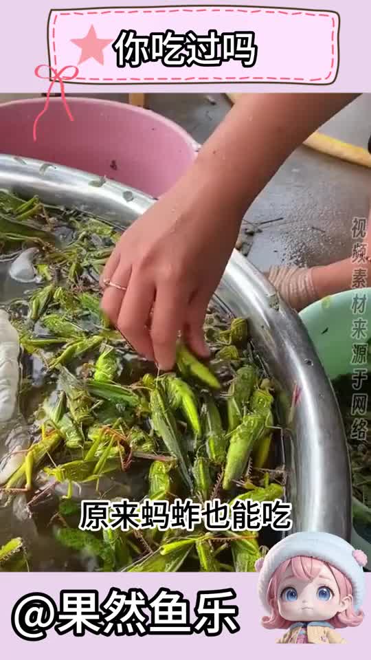 蚂蚱也能吃有吧友吃过这种“美食”吗