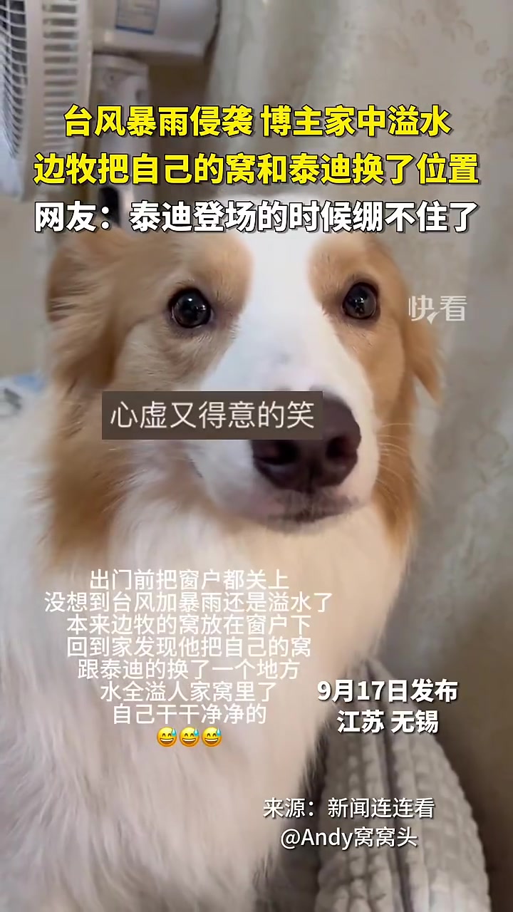 歹毒的研究生！泰迪登场的时候绷不住了！