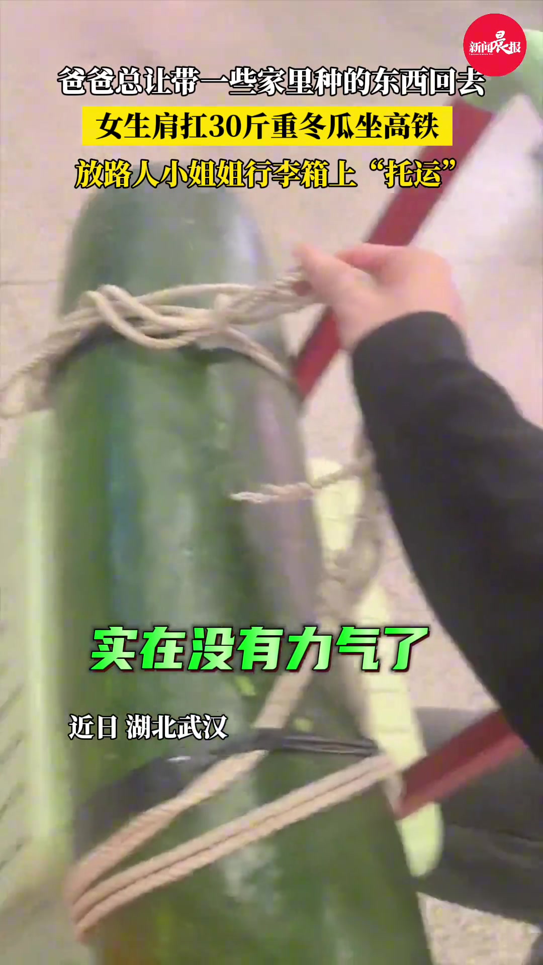 女生带冬瓜坐高铁放路人行李箱上托运父爱如“山”具像化了