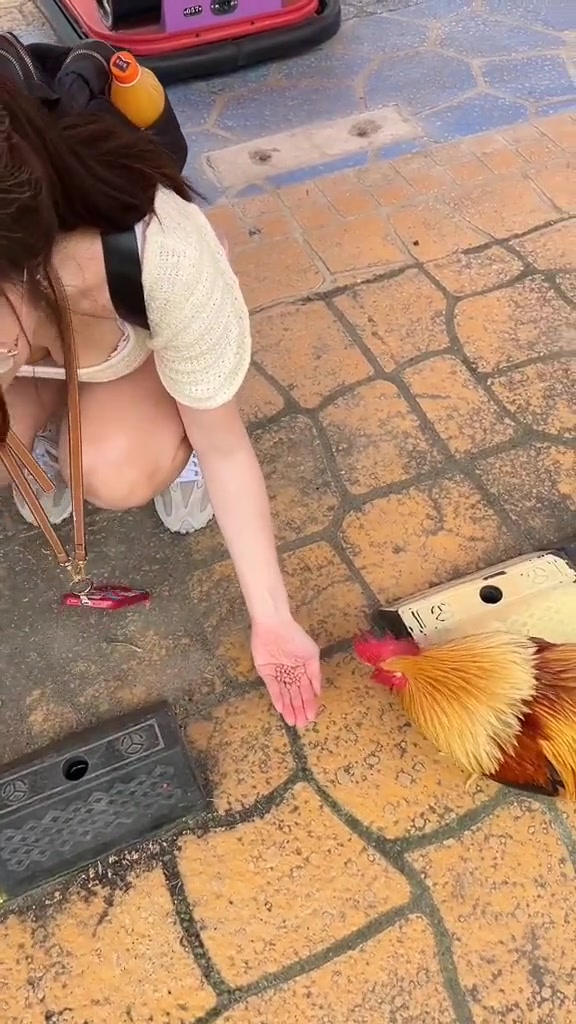 这女生难道就是传说中的又菜又爱玩