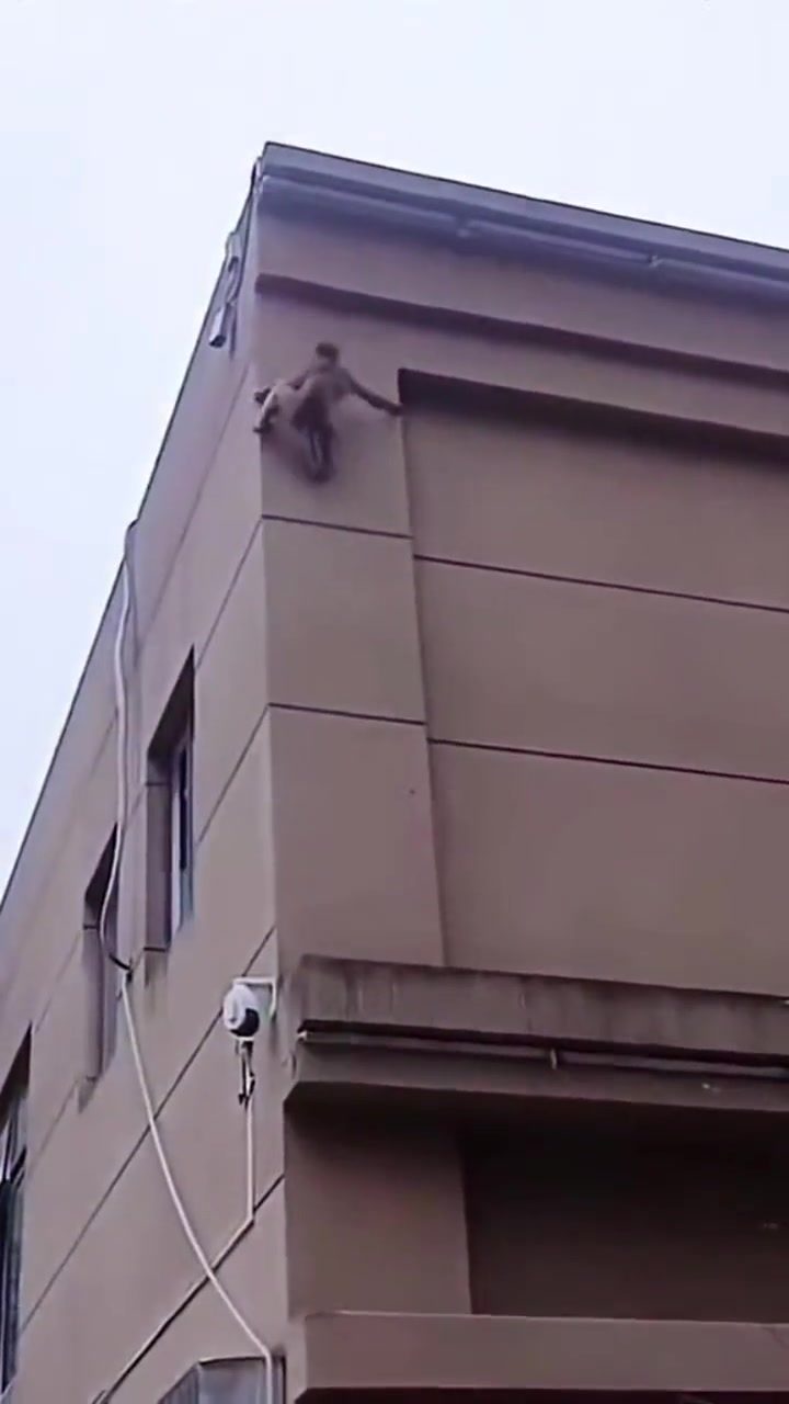猴哥：就这高度，还不够我看的！！