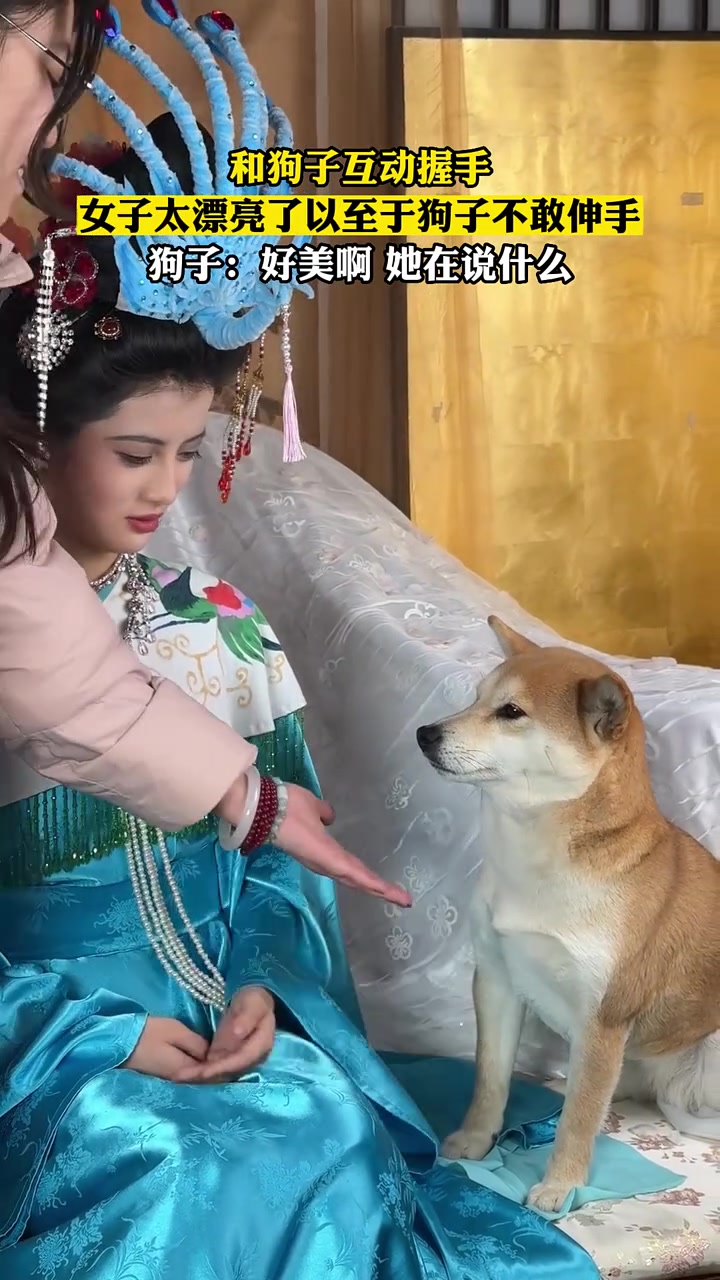 女子太漂亮了以至于狗子不敢伸手！