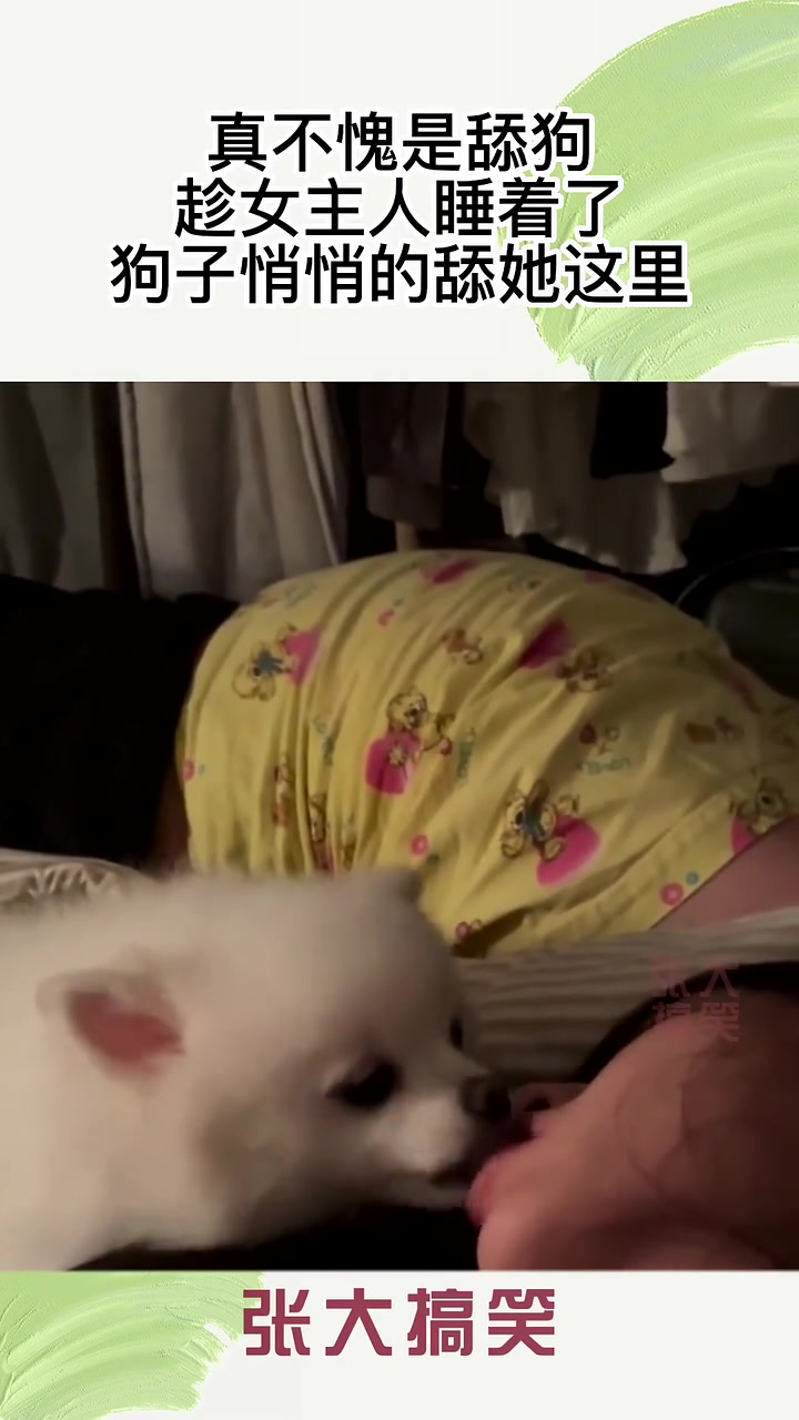 真不愧是舔狗！看来女主人今晚吃的很好！