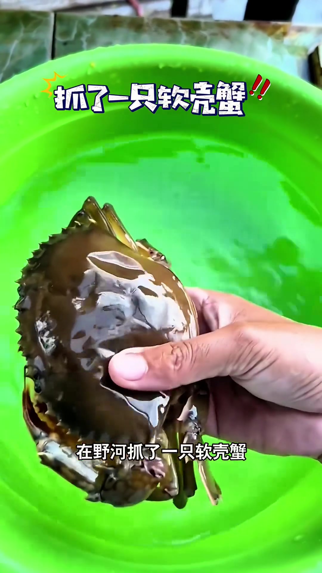 抓了一只软壳蟹，该怎么吃啊