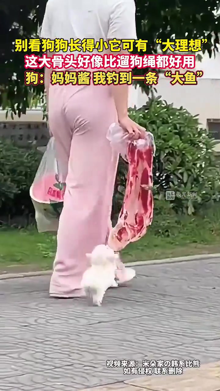 这大骨头可比遛狗绳都好用！