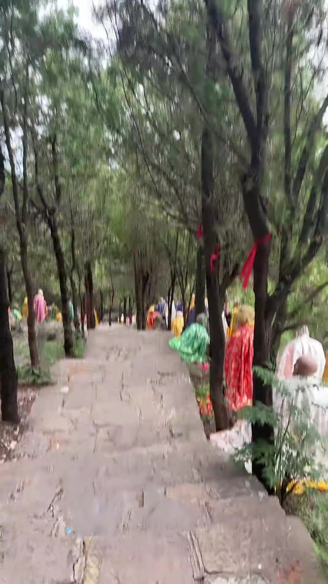 别说晚上了，白天一个人我都不敢走