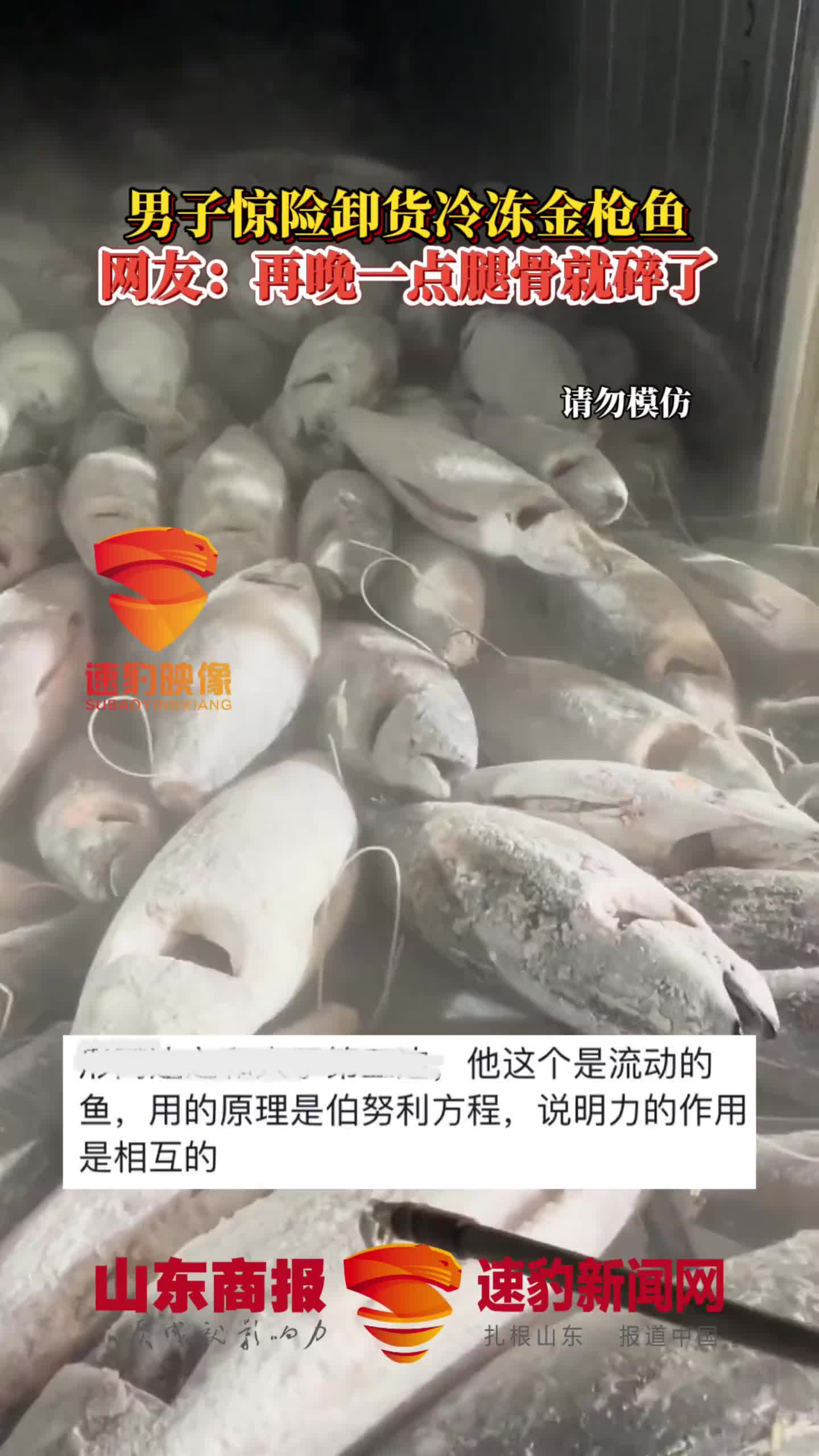 高家武器库！男子惊险卸货冷冻金枪鱼！