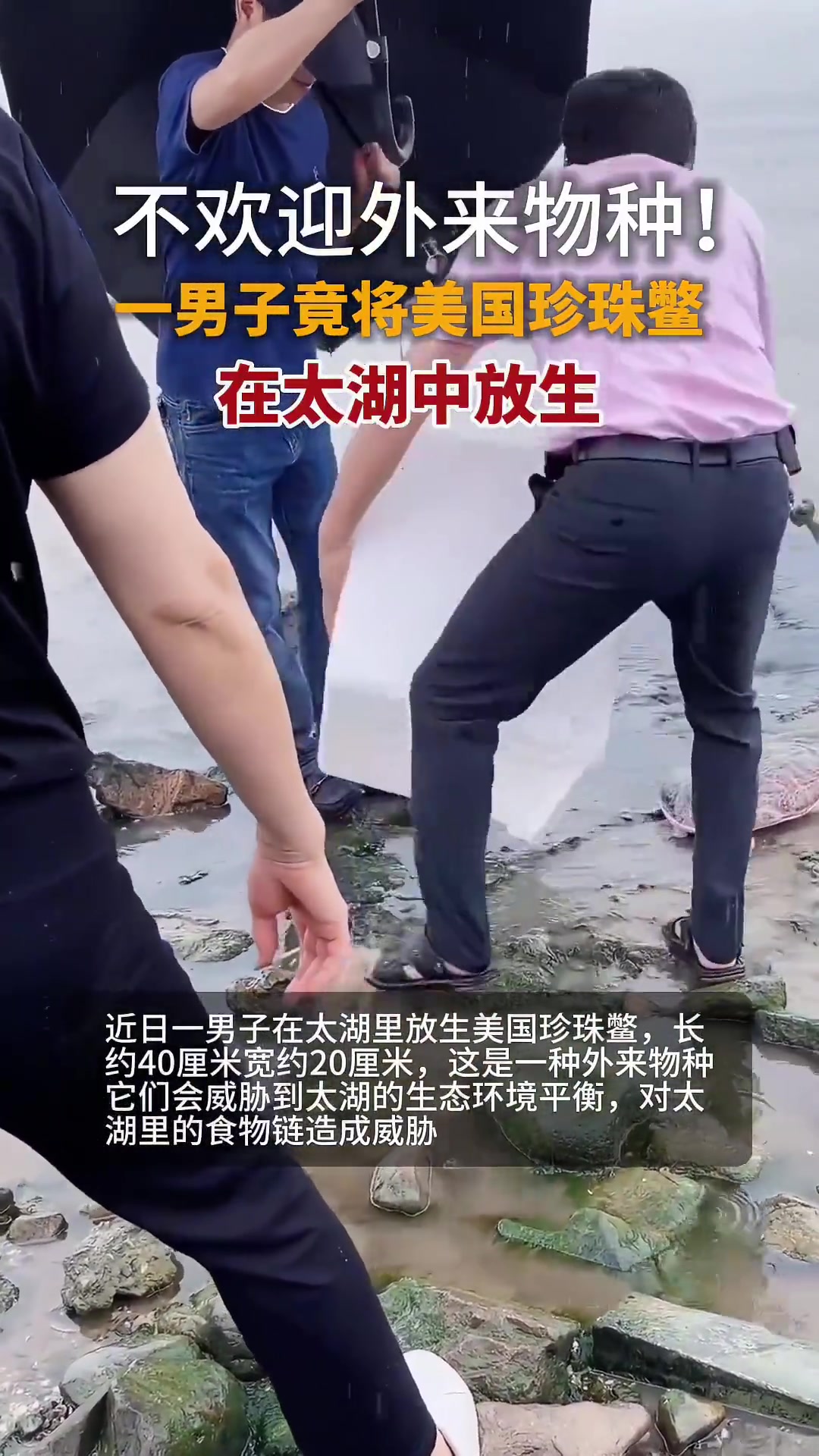 放生不一定是在积德，也有可能是在造孽！