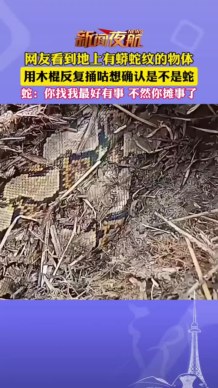 地上有蟒蛇纹物体，网友用木棍捅咕想看看是不是有蛇！