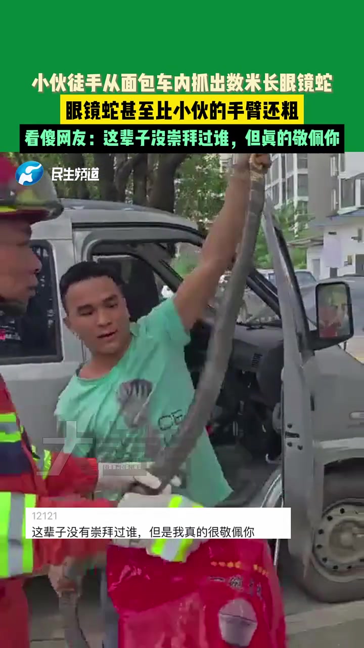 小伙徒手从面包车内抓出数米长的眼镜蛇，比小伙手臂还粗！