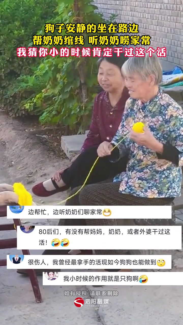 狗子安静的坐在路边，帮奶奶绾线，听奶奶唠家常