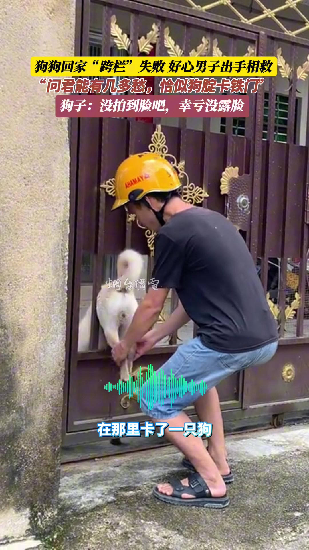 狗子回家被卡门上，路过男子热心解救