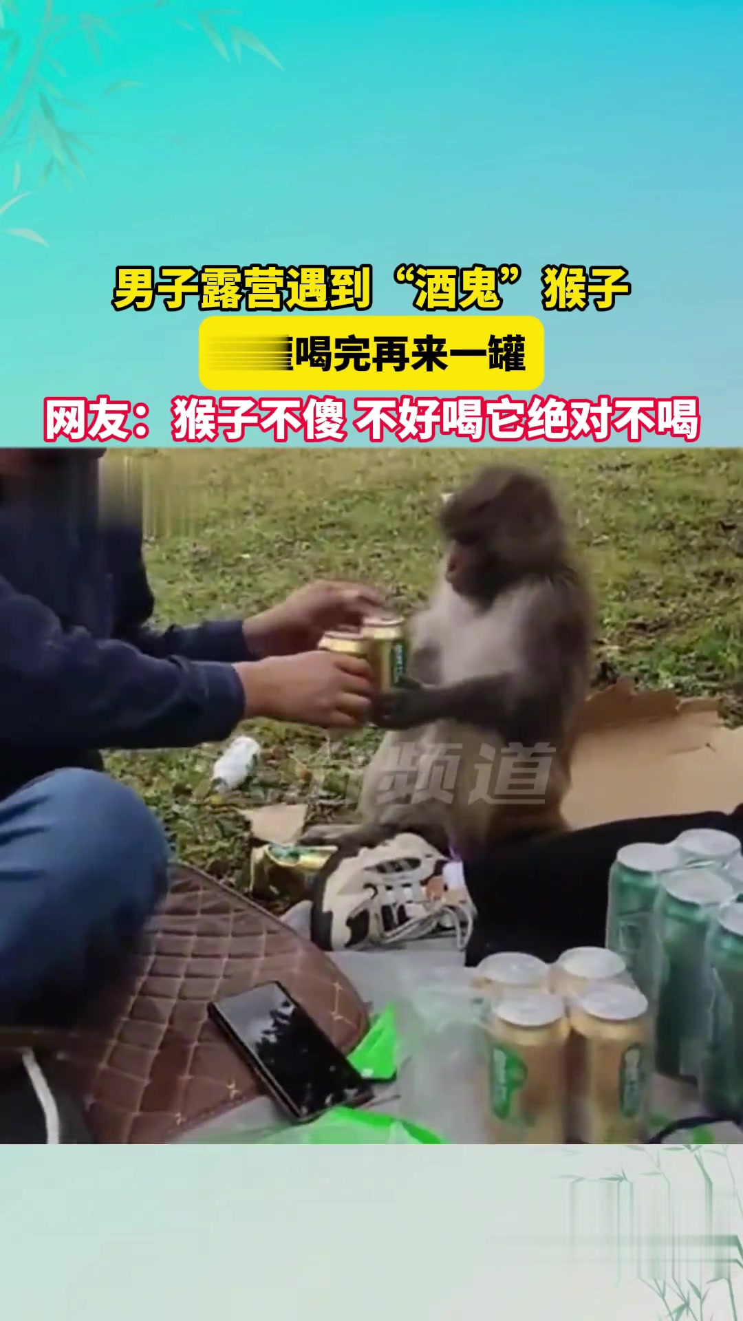 露营遇见“酒鬼”猴子！一罐不够，再来一罐！