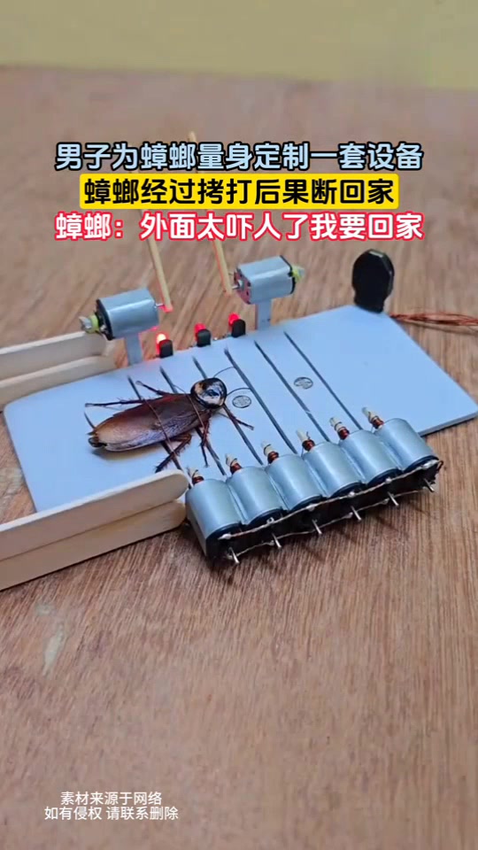 男子为蟑螂量身定制一套设备，蟑螂经过拷打后果断回家！