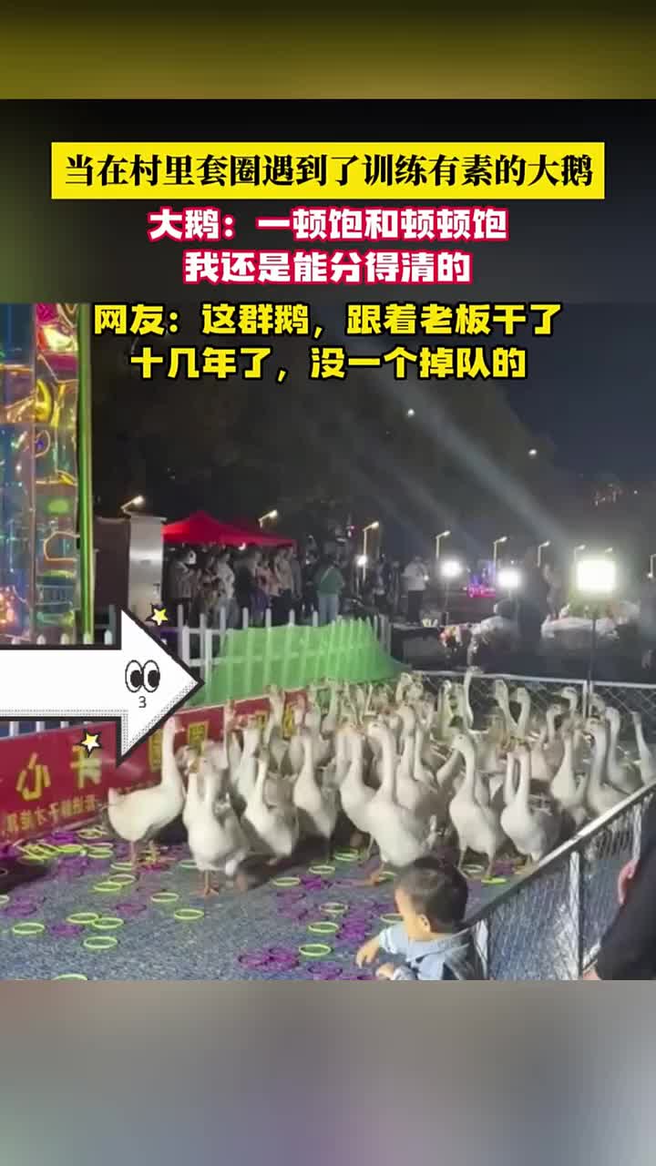 大鹅：一顿饱和顿顿饱我还是能分得清的