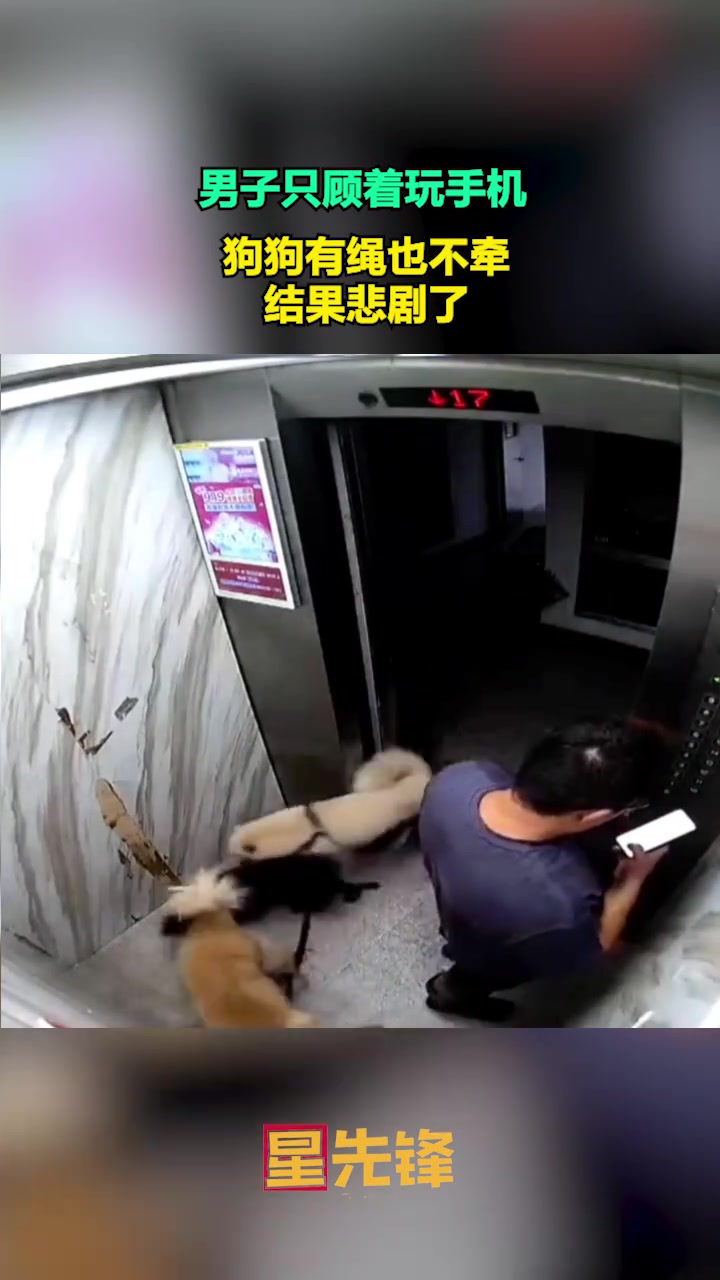 男子只顾着玩手机，狗狗有绳也不牵