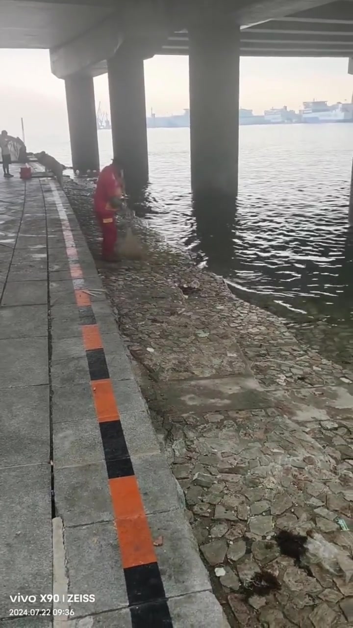 海边太脏了！环卫工人，把垃圾都扫到海里了！