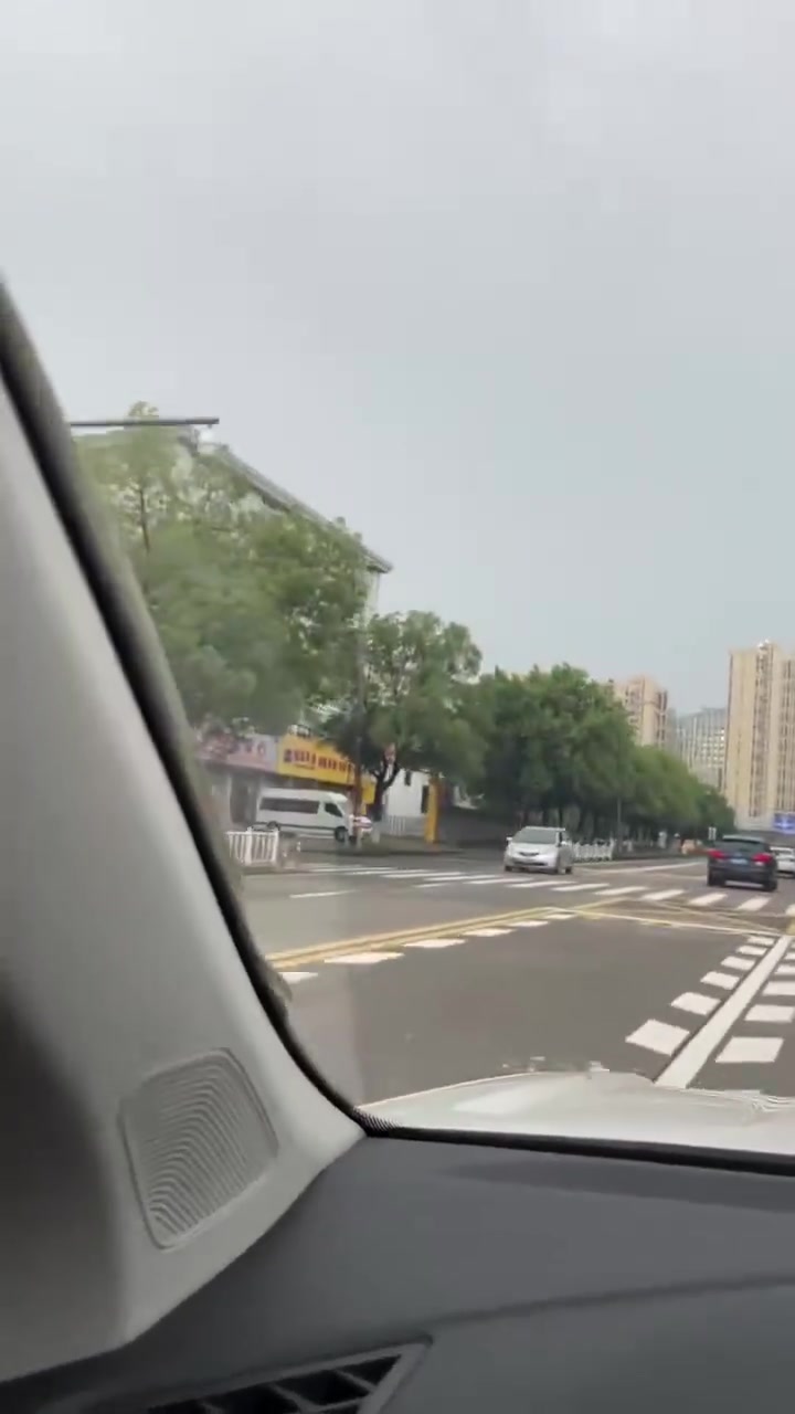 车子在行驶中挡风玻璃上出现一条蛇如果你是司机，你会怎么办