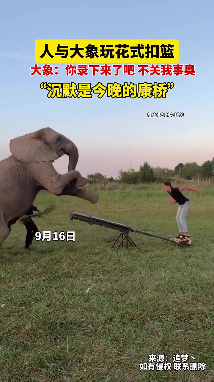 我觉得这才是NBA状元！不是飞起扣篮那个，是大象！