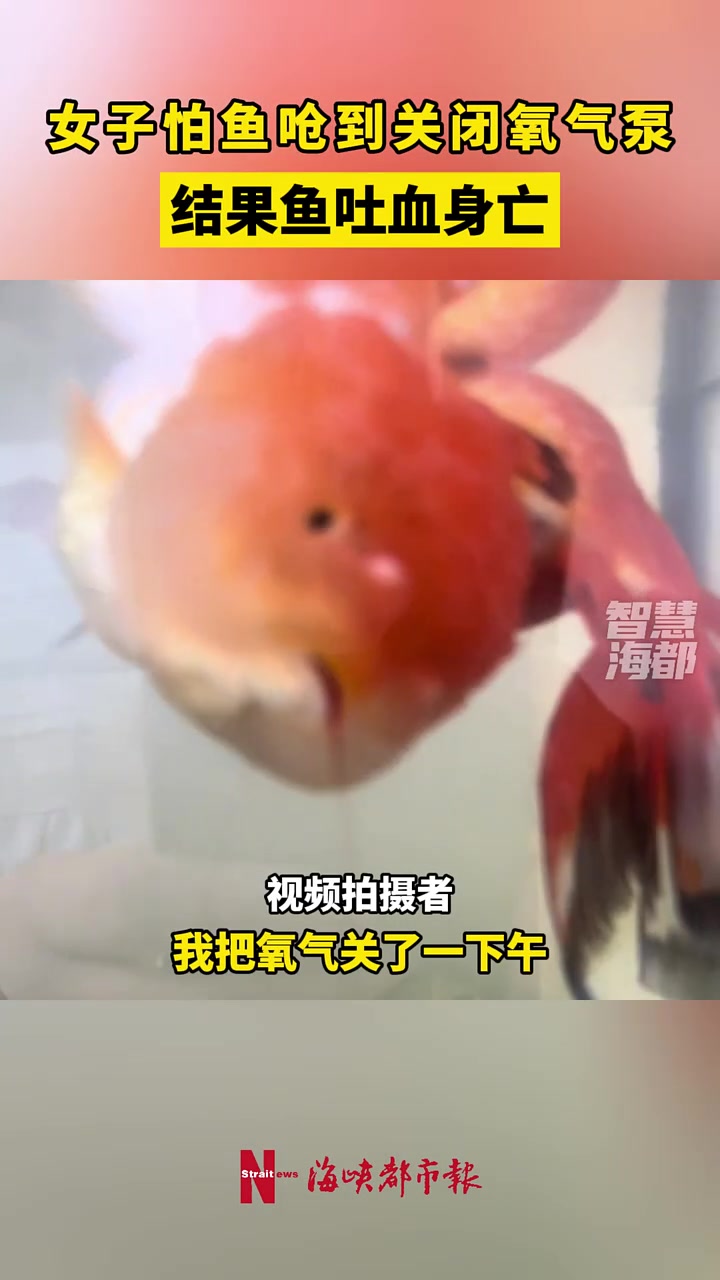 女子怕鱼呛到关闭氧气泵，结果鱼吐血身亡！