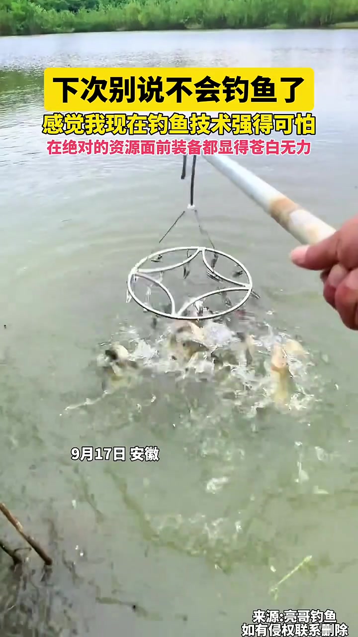 这窝得打多好！下次别说不会钓鱼了，感觉我现在钓鱼技术强得可怕