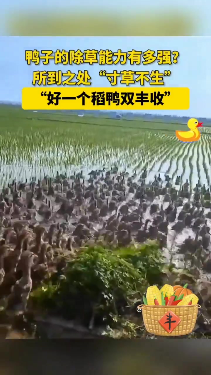 没开玩笑！这就是所到之处寸草不生！