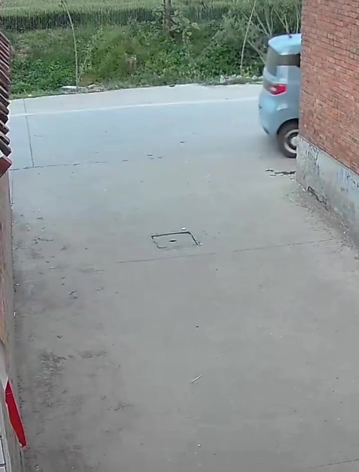世界纷纷扰扰，我只想在地里静静