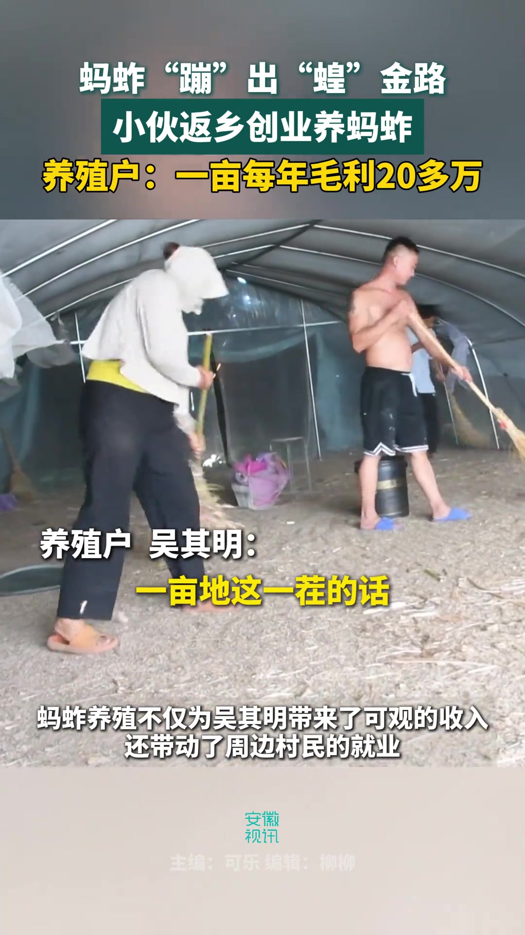 安徽界首小伙返乡创业养蚂蚱，带动周边村民一起致富！